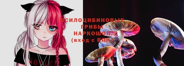 герыч Алексин