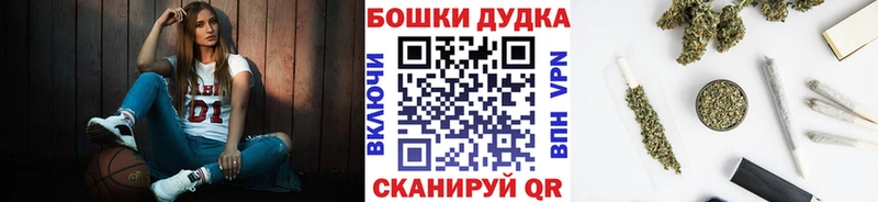 Каннабис планчик  Жиздра 